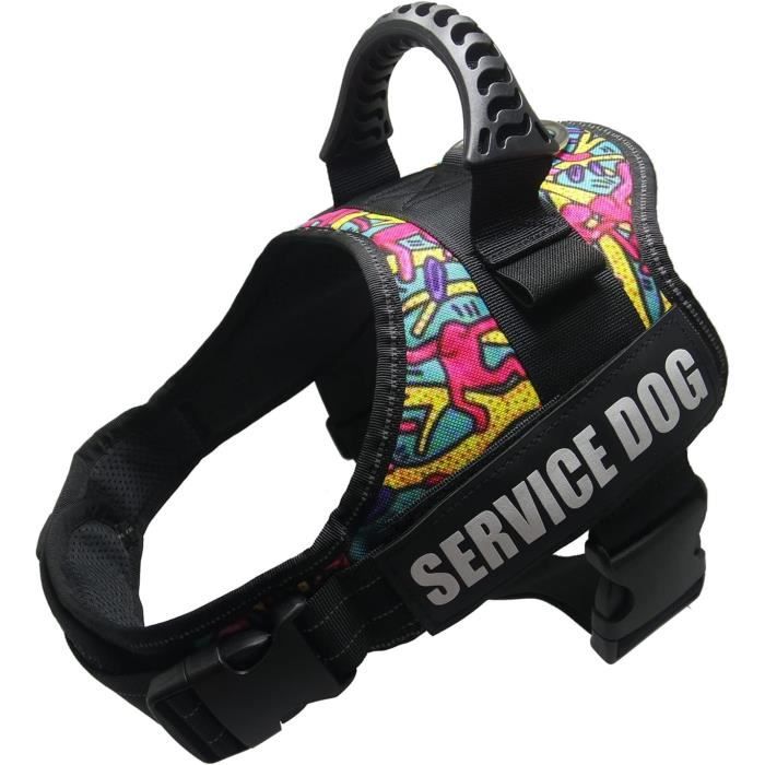 Gilet De Refroidissement Pour Chien - été, Réglable, Réfléchissant (taille S)