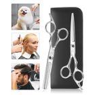 SAFIRST Set de Ciseaux de Coiffeur Professionnel, Salon de Coiffure Amincissant, Acier Inoxydable 2pc