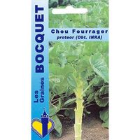 Sachet de  Chou fourrager Protéor (branchu) - 10 g - légume feuille - LES GRAINES BOCQUET