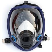 Masque chimique complet masque anti-gaz respirateur de poussière acide masque filtre de peinture 230x190x10mm