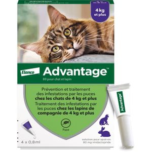 Advantage Chat Cdiscount Advantage Chat Cdiscount