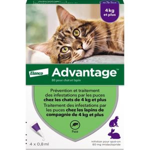 ANTIPARASITAIRE ADVANTAGE Solution Antipuce Chat Lapin +4kg 4 pipe