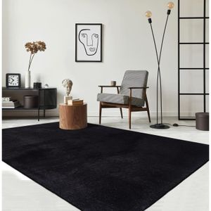 TAPIS Tapis de Salon ou chambre en noir 60x110 | Tapis poil ras moderne et doux | Rectangulaire | Interieur | Lavable  - The Carpet Loft