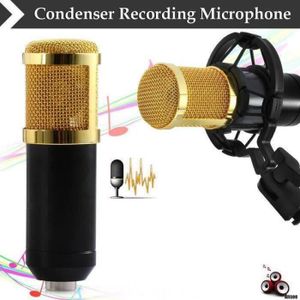 HAUT-PARLEUR - MICRO d'enregistrement micro condensateur Sound Studio M