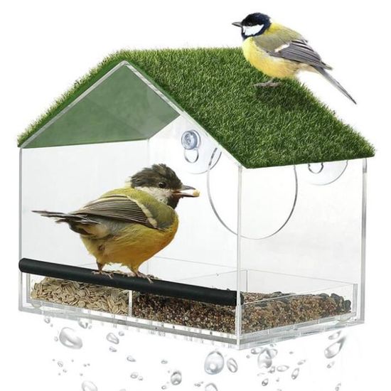 Mangeoire à Oiseaux De Fenêtre Avec Ventouses - Acrylique Et Acier Inoxydable, Facile à Installer | Pour Perroquets, Oiseaux De Jardin