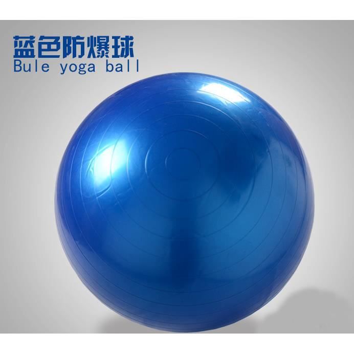 Balle de Yoga Exercice Fitness Balance Gymnastique Force Pilates Ball Révéler Gonfleur Bleu 65 cm / 25,6 -