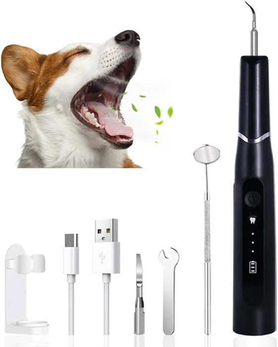 Grattoir à Tartre Vétérinaire Pour Animaux - En Acier Inoxydable, Pour Chiens, Chats - Neuf, Marque Medspo