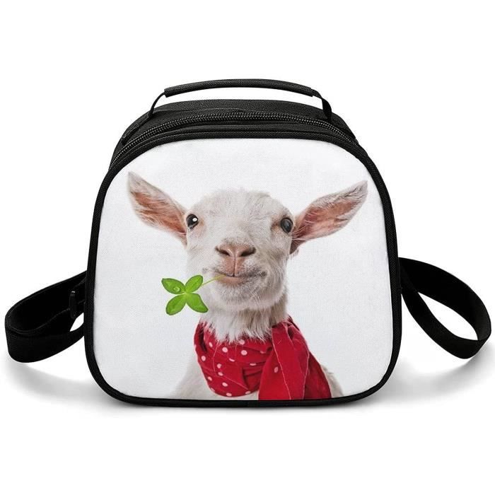 Sac à Déjeuner Isotherme Park Mountain Paysage Pour Femme Et Homme - Imperméable Et Réutilisable - Sac à Déjeuner Isotherme Mignon Pour Le Travail, Le Bureau, Les Voyages, Le Pique-nique