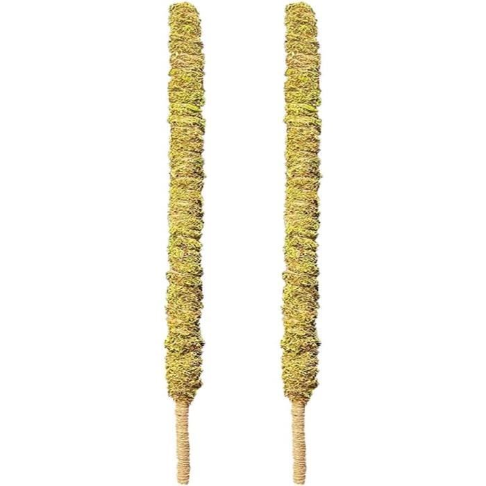 BDHHFAM Bâton De Mousse Auto-Arrosage Pour Plantes D'Intérieur - 4 Supports Extensibles 44 Cm - Tuteur 80 Cm Pour Monstera, Philodendron Et Plantes Grimpantes