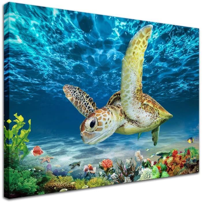 Objet De Decoration Murale Tableau Sur Toile De Mer Tortue Decoration Murale Sur Toile De Plage Theme Oce226 Cdiscount Maison Objet De Decoration Murale Tableau Sur Toile De Mer Tortue Decoration Murale Sur Toile De Plage Theme Oce226 Cdiscount Maison