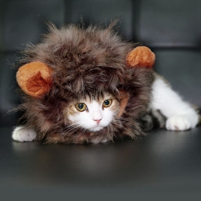 Animal Costume Perruque Avec Les Oreilles Lion Forme Pour Chat Chiot Chien Noel Party Halloween Cdiscount