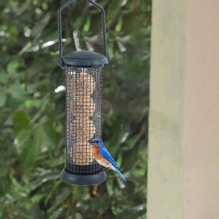 Meilleurs prix pour SALUTUYA Mangeoire à oiseaux Mangeoire pour oiseaux en plein air, boule de graisse, distributeur de jardin protection Vert foncé