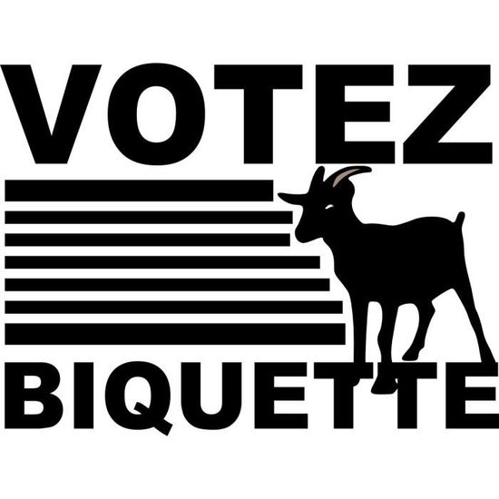 T Shirt Enfant Humour Politique Votez Biquette Election Contestataire Tee Shirt Blanc De 3 A 12 Ans Blanc Blanc Cdiscount Pret A Porter