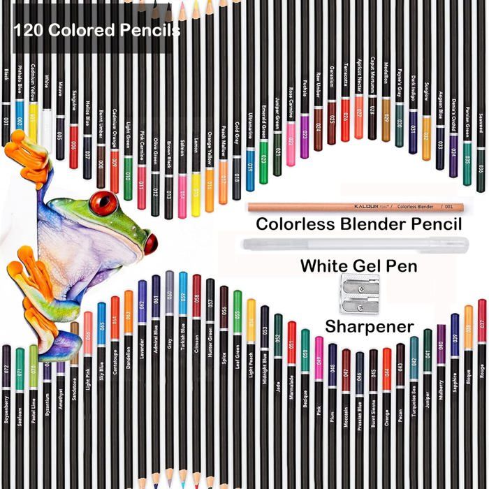 KIT DE DESSIN Crayon de Couleur Professionel, 138 Crayon Couleur de