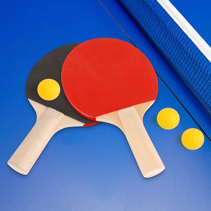 Sac Pour Raquettes De Ping-pong – Motif Tête De Tigre Ethnique – Pour 2 Raquettes + 4 à 5 Balles – Protection Anti-chocs