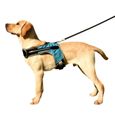 Harnais lumineux pour chien, accessoire de sécurité pour animaux de compagnie, avec LED, laisse, ceinture, collier, [D4DC979]-0