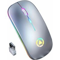 YINDIAO-Souris sans fil rechargeable silencieuse LED rétro-éclairé Portable mignon Mini souris Works pour PC ordinateurs Argent
