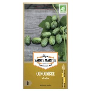 GRAINE - SEMENCE La ferme Sainte Marthe - 20 graines AB - Concombre