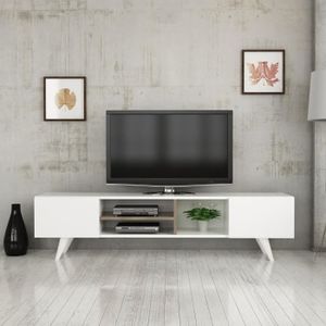 MEUBLE TV Meuble TV Assens à 2 portes 40 x 160 x 31 cm blanc