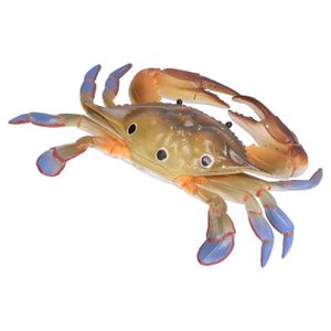 TABLE JOUET D'ACTIVITÉ Mxzzand Modèle de crabe Figurine modèle Animal mar