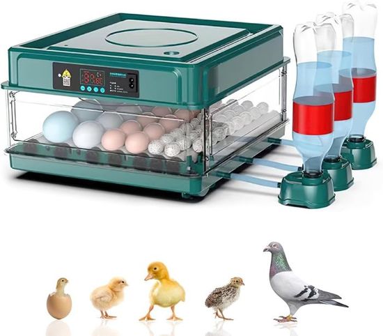 VEVOR Couveuse Œuf Automatique Incubateur pour Œufs à Couver Retournement Automatique 48 Œufs Contrôle de Température et d'Humidité Couvercle Transparent ABS pour Éclosion Œufs de Poule Canard Caille VEVOR Couveuse Œuf Automatique Incubateur pour Œufs à Couver Retournement Automatique 48 Œufs Contrôle de Température et d'Humidité Couvercle Transparent ABS pour Éclosion Œufs de Poule Canard Caille