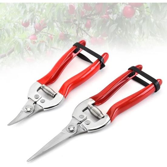 Sécateur De Jardin Professionnel, Avec Lame SK5, Plage De Coupe19mm Ciseaux Jardinage Pour Branche Fleur Et Fruits Broussailles Cisailles A Plantes Pour Le Jardinage 87685763