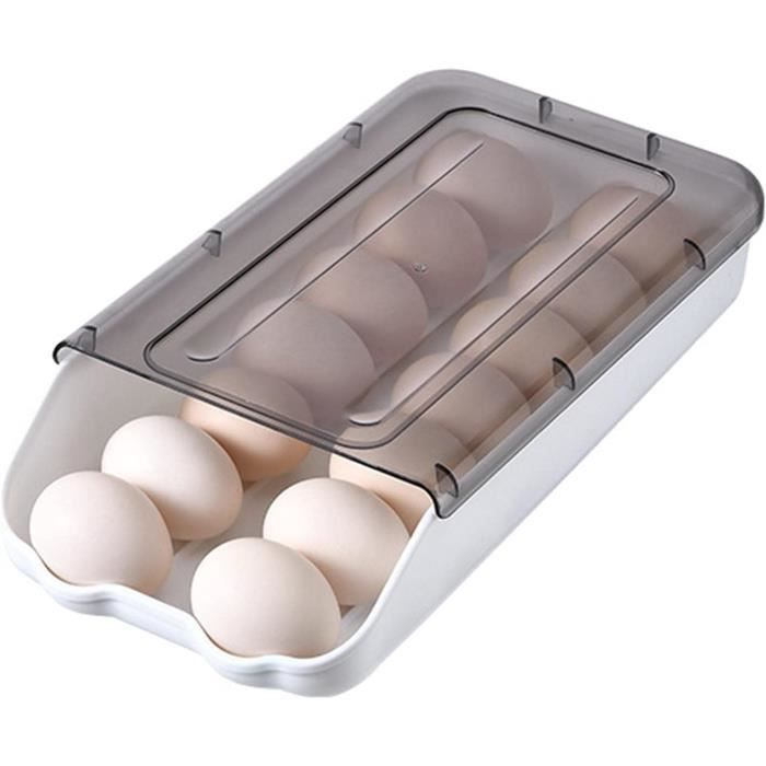 Boîte à Oeufs Plastique