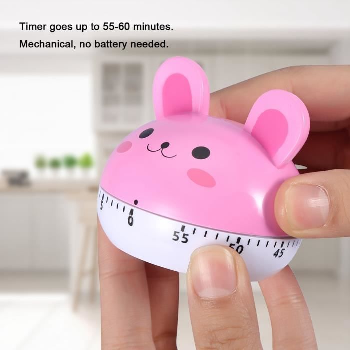 Duokon Cooking Timer, ABS 55-60 Minutes Timer, Kitchen for Home art ...