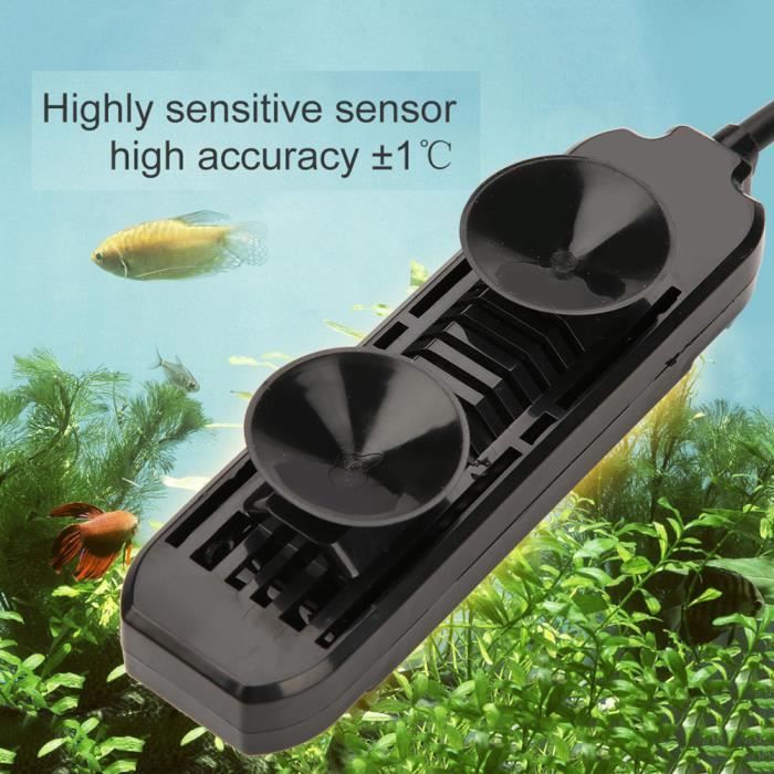 Mxzzand Chauffeeau d