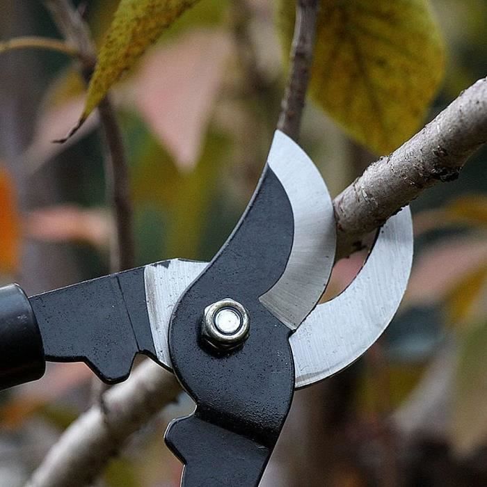 Coupe-Branche Télescopique AIRAJ 42-61 Cm | Lame SK5 Anti-Adhésive, Coupe Jusqu'à 3.5 Cm | Pour Jardin, Arboriculture - 10
