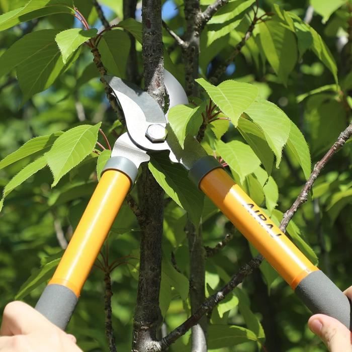 Coupe-Branche Télescopique AIRAJ 42-61 Cm | Lame SK5 Anti-Adhésive, Coupe Jusqu'à 3.5 Cm | Pour Jardin, Arboriculture