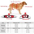 ARAMOX harnais d'aide pour chien Harnais de soutien de jambe de chien arrière Aide à la marche Gilet de traction de levage pour-3