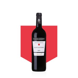 VIN ROUGE Vin AOC Saint-Estèphe 2017 - Carton de 6 bouteille