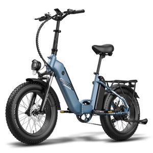 VÉLO ASSISTANCE ÉLEC Vélo Électrique Fafrees FF20 Polar Fat Bike - Double Batterie - 48V 20.8Ah - Portée 160km - Pneus 20*4.0 - Bleu