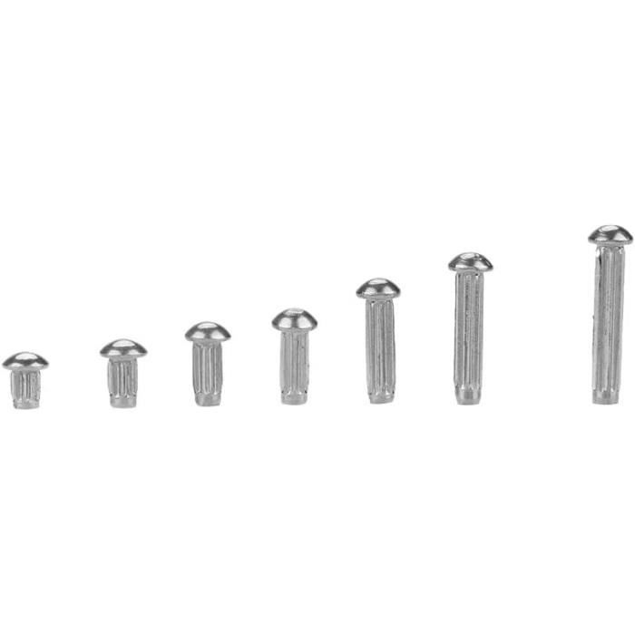 Rivets M2 Rivet À Tige Moletée Rivets Solides Légers Avec Boîte En ...