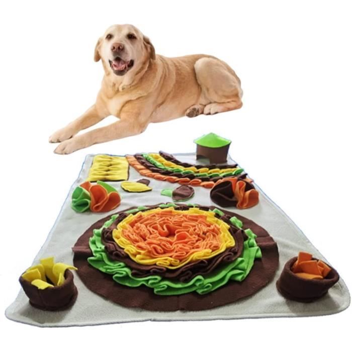 Tapis de fouille et de léchage pour chien - Daisy Mat 🌼 Sky - inooko