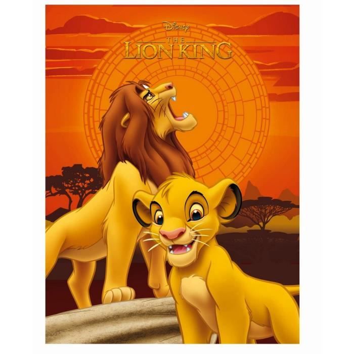 Plaid Polaire Le Roi Lion Couverture Enfant Simba Guizmax Cdiscount Maison