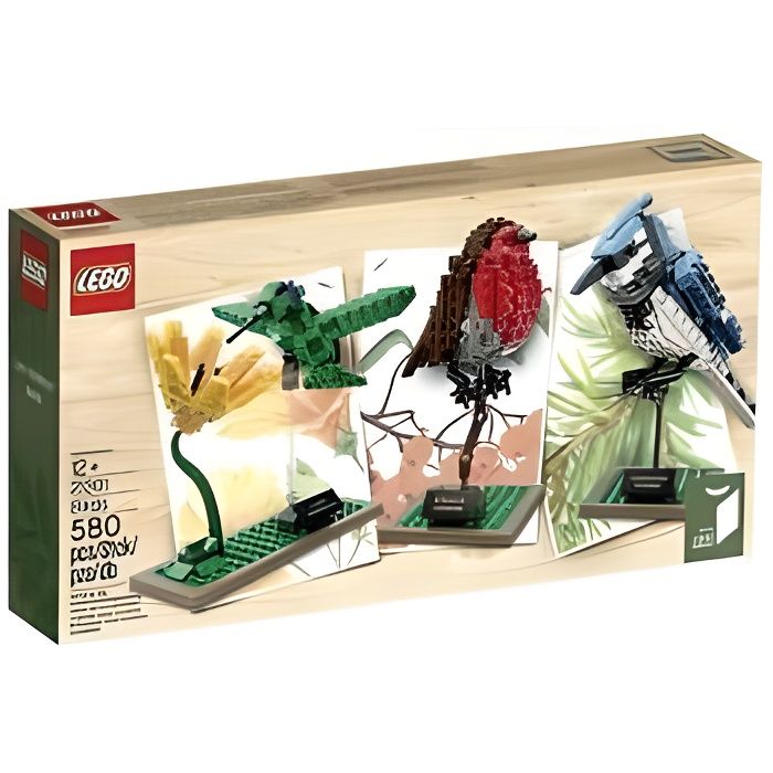Lego ideas 21301 online