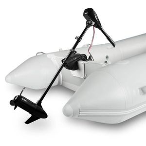 Moteur Hors-bord 2 Temps 2,3 HP - 1,7 KW, 52cc, Démarrage Traction, Pour Petit Bateau