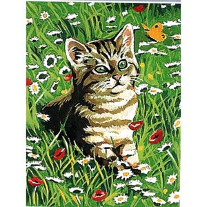 Kit Canevas Chat Cdiscount