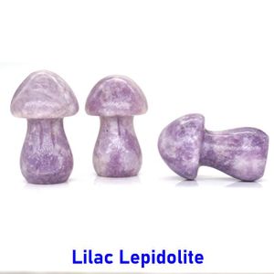 PIERRE VENDUE SEULE PIERRE VENDUE SEULE,Lilac Lepidolite--Figurine en 