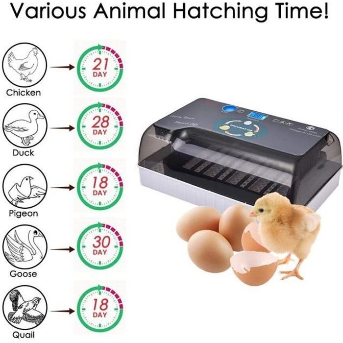 Yangbaga Incubateur d'œufs - Eclairage dirigé - Fonction de rotation automatique - Capacité d'oeufs: 12 PCS （Manuel en français.）
