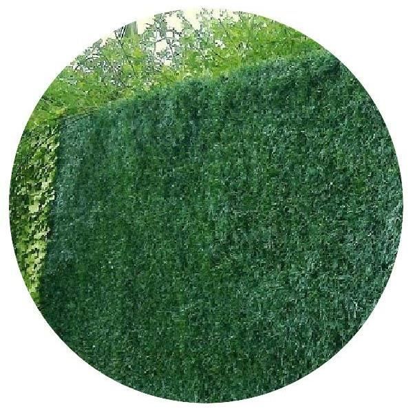 Haie artificelle 243 brins vert thuyas en rouleau L 300 x H 150 cm Lux (Lot de 6)