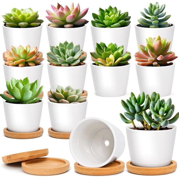 Lot de 12 pots de fleur intérieur en céramique - ronds blancs avec soucoupes - drainage - 6 5 x 6 5 x 5 7 cm