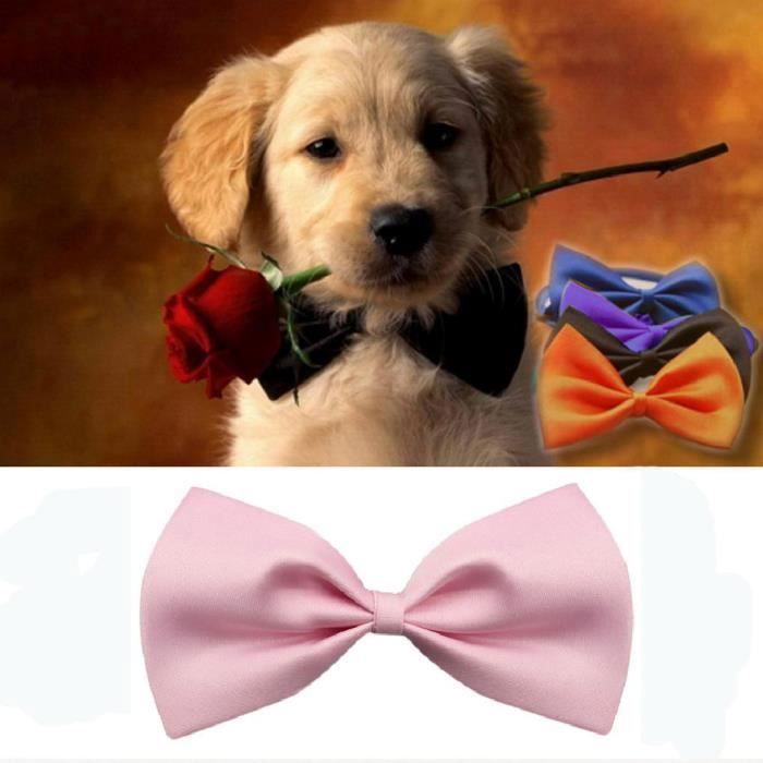 Noeud Papillon Chien Chat Rose Réglable – Accessoire Élégant pour Petit et Moyen Animal de Compagnie