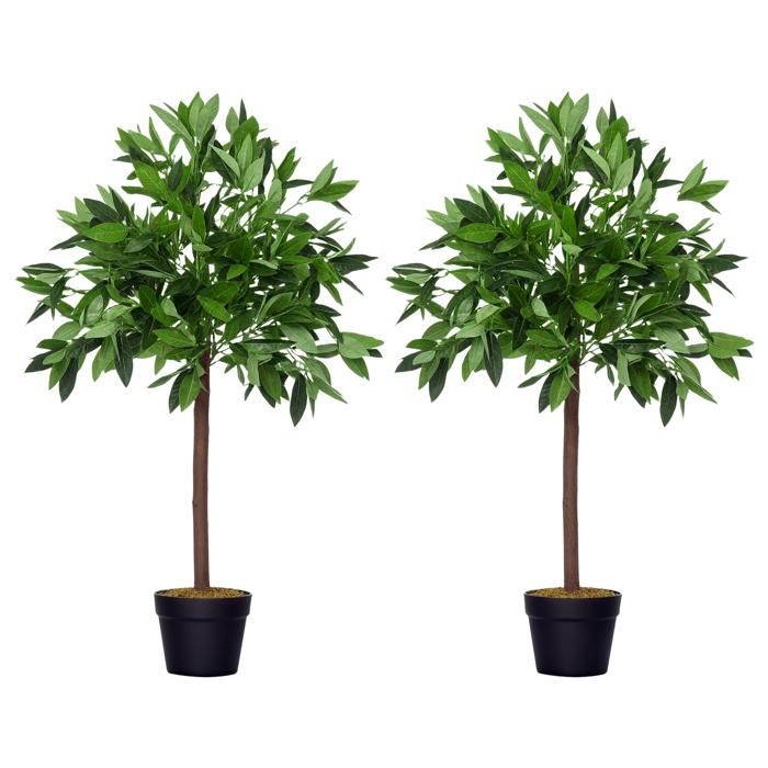 Neuhaus Decor Polyscia bonsaï Arbre Artificiel sans Pot 33 cm Neuhaus Decor Polyscia bonsaï Arbre Artificiel sans Pot 33 cm