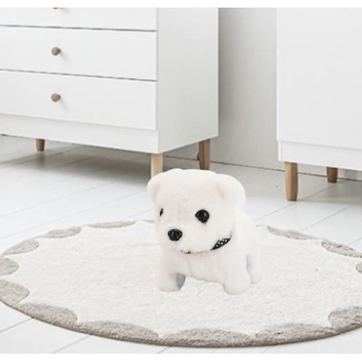 Acheter Coussins fantaisie 3D en peluche, adorables otaries réalistes, en peluche douce, pour pendaison de crémaillère