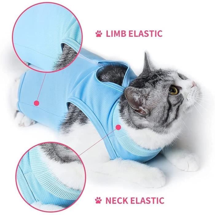 Gilet de recuperation chat 2025