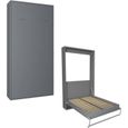Armoire lit escamotable SMART-V2 gris graphite mat couchage 90*200 cm. gris bois Inside75-0