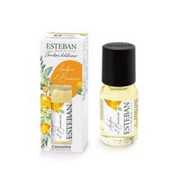 Parfum d'intérieur - Concentré de parfum ambre et baumes 15 ml - Esteban Multicolore